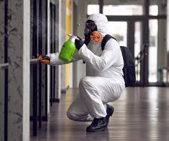 Why You Should Choose Our Mold Remediation Services in Nokomis, FL